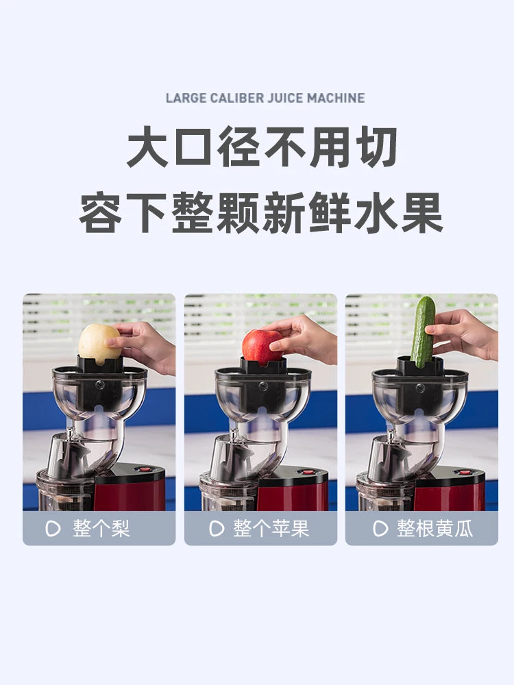 Automatic Pulp Ejecting Juicer – Large Bore, Fresh Juice